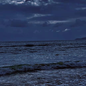 亚洲成片综合网站
